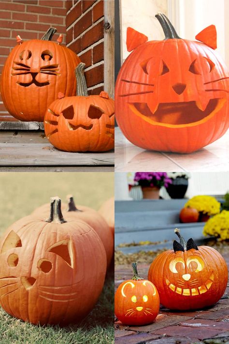 Unique Jack O Lantern Ideas Easy, Halloween Pumpkin Designs Easy, Pumpkin Carving Animals Easy, Easy Kitty Pumpkin Carving Ideas, Kids Carving Pumpkin Ideas, Pum0kin Carving, Jack O Lantern Easy Carving, Fun Jack O Lantern Ideas, Pumpkin Carving Funny Easy