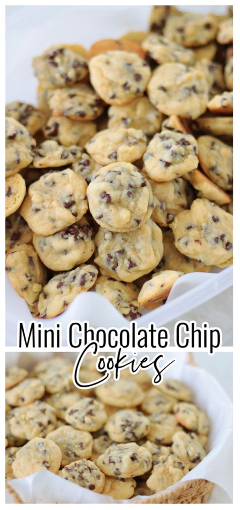 Mini chocolate chip cookies because everything in miniature is better! Loaded with mini chocolate chips these are so fun to eat! One batch makes 12 dozen. Mini Chocolate Chip Cookies With Pudding, Chips Ahoy Chewy Cookies Recipe, Icing For Chocolate Chip Cookies, Mini Snickerdoodle Cookies, Costco Mini Chocolate Chip Cookies, Mini Cookies In A Jar, Small Chocolate Chip Cookie Recipe, Simple And Easy Desserts, Toddler Cookie Recipe