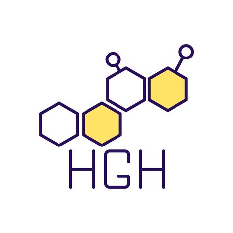 Human growth hormone RGB color icon Brain Models, Estrogen Hormone, Human Growth Hormone, Growth Hormone, Rgb Color, Hormone Imbalance, Coming Of Age, Anatomy, Vector Art