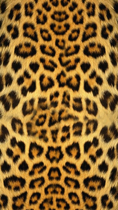 Gold Wallpaper 4k, Wallpaper Cheetah Print, Wallpaper Cheetah, Argo 2, Jaguar Wallpaper, Cheetah Print Background, Cheetah Background, Background Animal, Cheetah Print Wallpaper