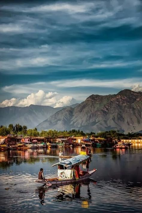 Dal Lake, Srinagar, India Kashmir Photography, Dal Lake, India Painting, Amazing India, Jammu Kashmir, Kashmir India, Visit India, Image Nature, Travel India