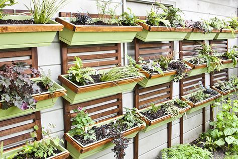 Starting My DIY Vertical Garden Verticle Garden Wall, Plants Repel Mosquitos, Pallet Vertical Garden, Front Door Table, Ikea Applaro, Garden Fancy, Garden Inspiration Ideas, Diy Vertical Garden, Decorative Flower Pots