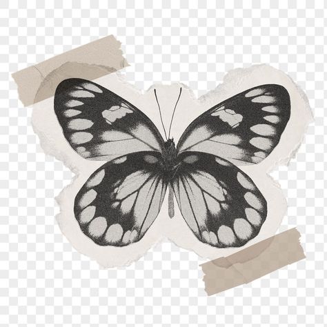 Aesthetic Png Transparent Background, Collage Ripped Paper, Make Up Png Aesthetic, Book Ripped Paper, Butterfly Png Icon, Butterfly Vintage Sticker, Ripped Paper Png Aesthetic, Butterfly Png Aesthetic, Transparent Butterfly Png