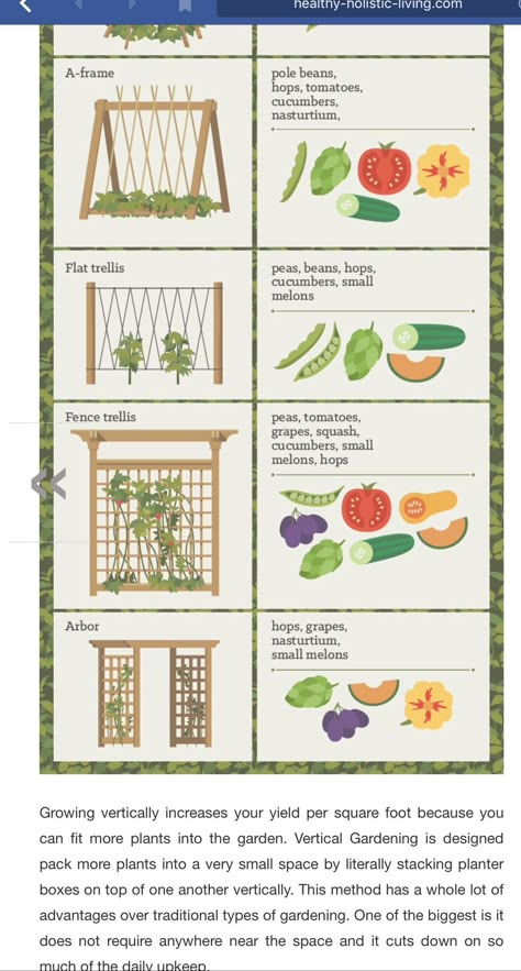 All About Gardening, Veggie And Fruit Garden Layout, Vertical Garden Layout, Small Homestead Garden Layout, Small Backyard Vegetable Garden Design Layout, Small Vegetable Garden Design Layout, Fruit And Vegetable Garden Layout, Vegetable Garden Plans Layout Design, Beginner Garden Layout