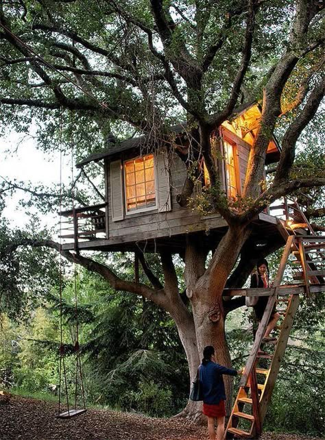 Diy Tree House, Simple Tree House, Tree House Ideas, Treehouse Ideas, Beautiful Tree Houses, Tree House Plans, Tree Fort, Eco Friendly Diy, Tree House Diy