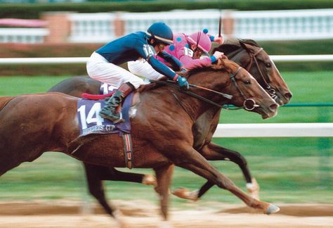 The Breeders, Giant’s Causeway, American Pharoah, Derby Winners, Breeders Cup, Santa Anita, Churchill Downs, Beacon Of Hope, Preakness