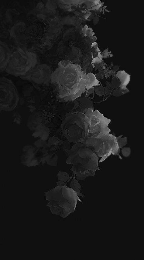 In The Dark, Black And White, Flowers, White, Black