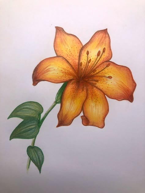 Cool Art Drawings Flowers, Art Ideas Flowers Drawing, Ideas To Draw Flowers, Realistic Drawings Flowers, Art Reference Photos Flowers, Drawing Inspiration Colored Pencil, Close Up Flower Drawing, Colored Pencil Art Flowers, Flower Drawing Realistic Colored Pencils