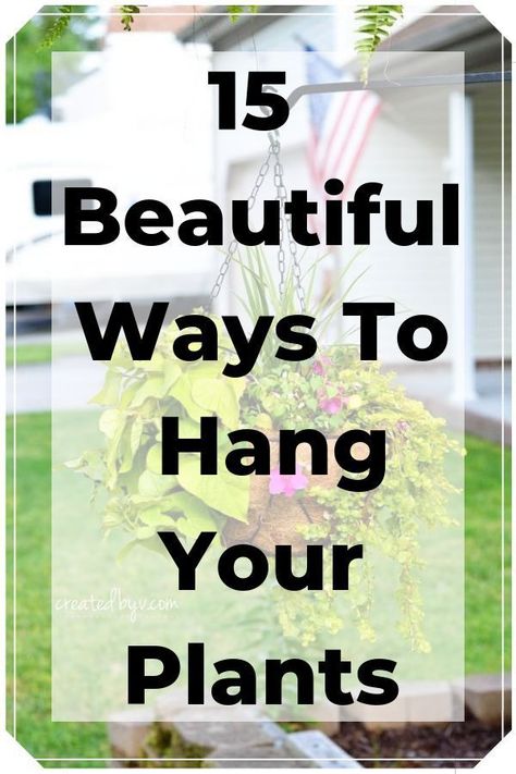 Hanging Plants Garden, Backyard Sandbox, Hang Plants, Vase Project, Hanging Plants Outdoor, Hanging Plants Diy, Plants Hanging, Backyard Playhouse, Gardening Diy