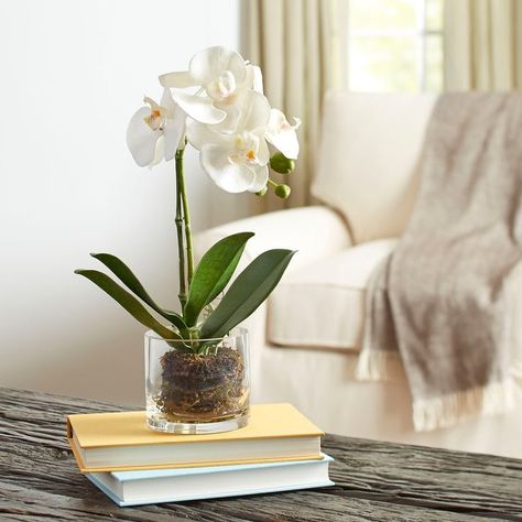 Faux+Orchid+in+Glass+Vase #affordablehomedecor #budgethome Orchid In Glass Vase, Silk Orchids Arrangements, Faux Orchid, Orchid Vase, Artificial Plants Decor, Orchid Centerpieces, Artificial Plants Indoor, Artificial Plant Wall, Faux Hydrangea