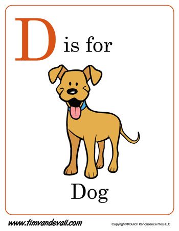 Dog Flashcard, Letter D Coloring Page, D Coloring Page, Dog Lettering, My Alphabet Book, D For Dog, Apple Letters, D Is For Dog, Alphabet Letter Worksheets