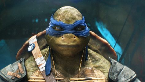 Netflix has finally released its initial trailer for the movie of Rise of Teenage Mutant Ninja Turtles: The… The post Netflix Releases The Teenage Mutant Ninja Turtles: The Movie First Trailer appeared first on Animated Times. Tmnt Movie 2016, Leonardo Turtle, Ninja Turtles 2014, Turtle Images, Leonardo Ninja Turtle, Ninja Turtles Movie, Tmnt Movie, Tmnt Leo, Leonardo Tmnt