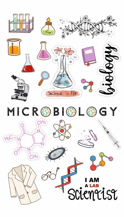 Aesthetic Boarders Designs, Pharmacy Art, Microbiology Lab, Biology Humor, Biology Projects, Medical Stickers, Book Cover Page, Science Stickers, Bond Paper Design