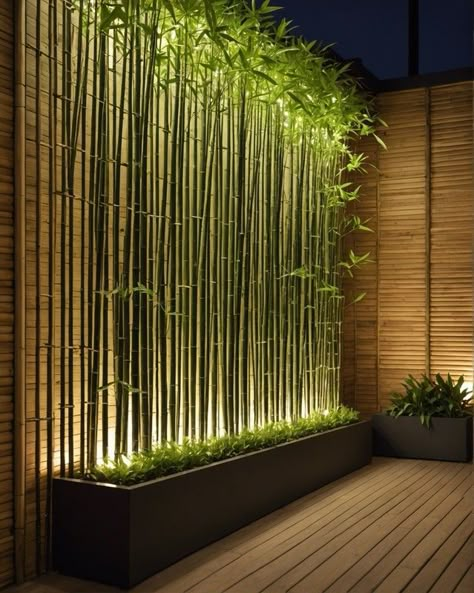 Planter Walls Outdoor, Small Wall Fountain Outdoor, Patio Accent Wall Outdoor, Outdoor Wall Decoration Ideas, Indoor Garden Wall Ideas Living Rooms, Very Small Courtyard Ideas, Outdoor Bamboo Wall, Bamboo Planters For Privacy, Balcony Planters Ideas