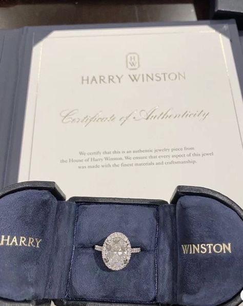 Harry Winston Engagement, Harry Winston, Old Lady, Food Jewelry, Dream Engagement, Dream Engagement Rings, Authentic Jewelry, Classy Jewelry, Expensive Jewelry