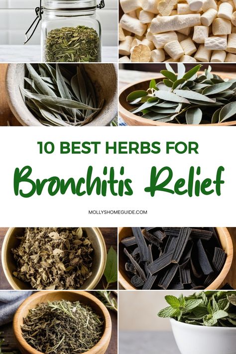 Best Herbs For Cough, Herbal Remedies For Cough, Best Herbs For Respiratory, Foods To Help Bronchitis, Natural Lung Healing, Herbs For Coughing, Herbs For Pneumonia, Holistic Cough Remedies, Natural Remedy For Bronchitis