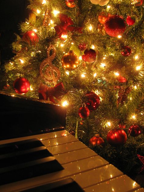 Christmas Musical Decorations, Musical Christmas Decorations, Animated Christmas Decorations, Christmas Lights Ideas, Piano Decor, Christmas Piano, Christmas Musical, Black Christmas Tree, Lights Ideas