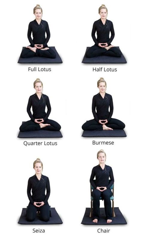 choose meditation pillow base on posture Zazen Meditation, Meditation Posture, Ben Bruce, Meditation Tips, Meditation Poses, Now Quotes, Types Of Meditation, Meditation Pillow, Buddhist Meditation