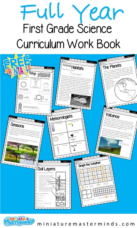 First Grade Science Full Year Curriculum – Miniature Masterminds 1st Grade Homeschool Science, First Grade Yearly Lesson Plans, First Grade Science Lessons Plans, 1st Grade Science Curriculum Homeschool, First Grade Homeschool Ideas, Second Grade Science Curriculum, 1st Grade Science Curriculum, First Grade Curriculum Map, First Grade Health Lessons