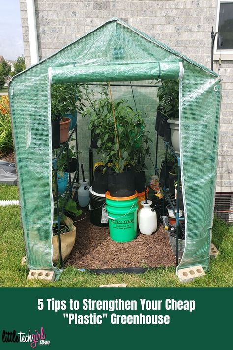 5 Tips to Strengthen Your Cheap “Plastic” Greenhouse Diy Small Greenhouse, Plastic Greenhouse, Cheap Greenhouse, Winter Greenhouse, Outdoor Greenhouse, Portable Greenhouse, Walk In Greenhouse, Indoor Greenhouse, Backyard Greenhouse