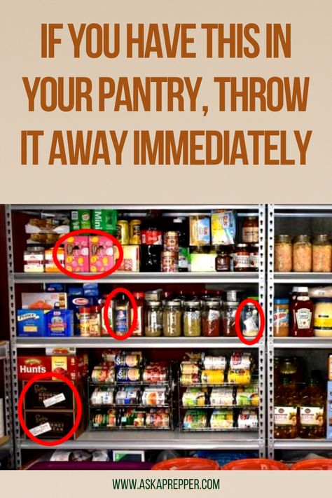 Organizing Your Pantry, Stocked Pantry, Emergency Preparedness Items, Survival Prepping Diy, Emergency Preparedness Food Storage, Best Survival Food, Survival Food Storage, Survival Skills Emergency Preparedness, Prepper Food