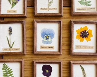 thewaysideviolet - Etsy Pressed Botanical Art, Dried Flowers Crafts, Pressed Flowers Frame, Framed Leaves, Pressed Floral, Cozy Gifts, Flowers Pressed, Beach Candle, Shelf Decoration