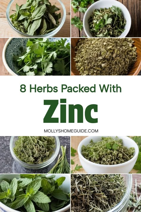 Discover the healing power of herbs high in zinc with this collection of nourishing and immune-boosting foods. Combat zinc deficiency by incorporating these powerful zinc sources into your daily routine. From herbs for lymphatic system support to foods that boost your immunity, these zinc-rich foods will help you stay healthy and strong. Explore the wonders of herbs high in zinc to enhance your overall well-being and vitality. Natural Zinc Sources, Functional Medicine Aesthetic, Zinc Sources, Medical Herbalism, Foods High In Zinc, Zinc Benefits, Sources Of Zinc, Zinc Rich Foods, Herbal Medicine Recipes