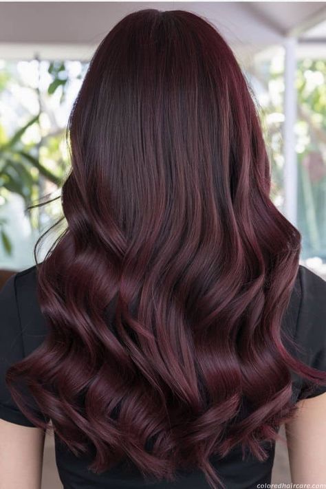 20 Stunning Mahogany Hair Color Ideas You'll Love This Year. 15 Dark Green Balayage, Red Mahogany Hair Color, Mahagony Hair Color, Mahogany Balayage On Black Hair, Burgandy Hair Color, Mahogany Red Hair Color, Dark Mahogany Hair Color, Best Burgundy Hair Dye, Dark Mahogany Hair