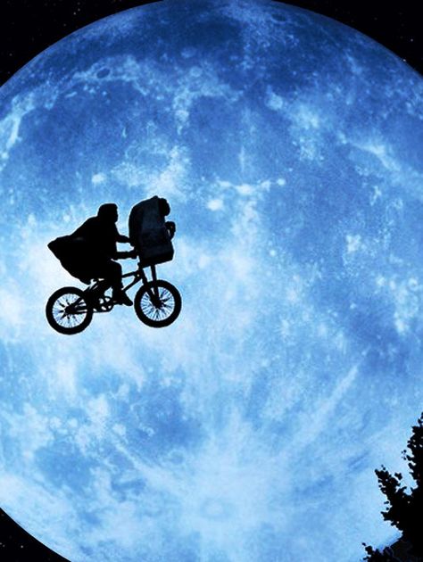 E.T. the Extra-Terrestrial Do Aliens Exist, Steven Spielberg Movies, Et The Extra Terrestrial, Film Shots, 1980s Movies, Movies List, Movie Moments, Free Soul, Alien Vs Predator