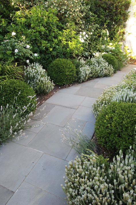 Formal English Edible — Christian Douglas Gravel In Flower Beds, Rambler Curb Appeal, White House Landscaping, Formal Front Garden, French Landscaping, Formal Landscaping, Cottage Landscaping, Front Walkway Landscaping, Formal English