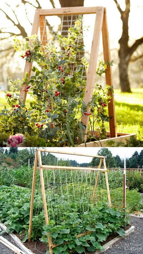 24 best DIY garden trellis ideas & designs: build easy cucumber trellis, bean teepee, beautiful vine pergola, plant screen, & vegetable garden structures! - A Piece of Rainbow #spring #summer #apieceofrainbow #trellis #verticalgarden #ediblegarden #vegetablegardening #backyard #gardens #gardening backyard, landscaping, gardening tips, #urbangardening #gardendesign #gardenideas #containergardening #DIY #homestead homesteading #gardeningtips #woodworkingprojects #woodworkingplans Diy Garden Trellis Ideas, Garden Trellis Panels, Garden Trellis Designs, Garden Trellis Ideas, Trellis Diy, Vertical Vegetable Gardens, Gardens Backyard, Plant Structure, Cucumber Trellis