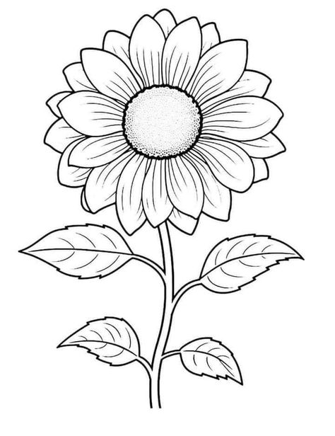 Sunflower Outline Drawing Simple, Sunflower Sketch Simple, Drawing Outlines Sketch, Flower Drawing Sunflower, Sunflower Design Drawing, Simple Sunflower Drawing, Flowers Outline Drawing, Sunflower Drawing Simple, Flower Coloring Pages Free Printable