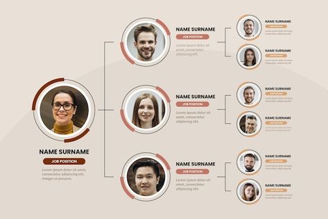 Company Organization Chart Templates, Organisation Structure Design, Team Structure Infographic, Structure Organization Design, Organizational Chart Design Templates, Organization Chart Design Company, Organisation Chart Design, Organizational Structure Design, Organizational Chart Design Ideas