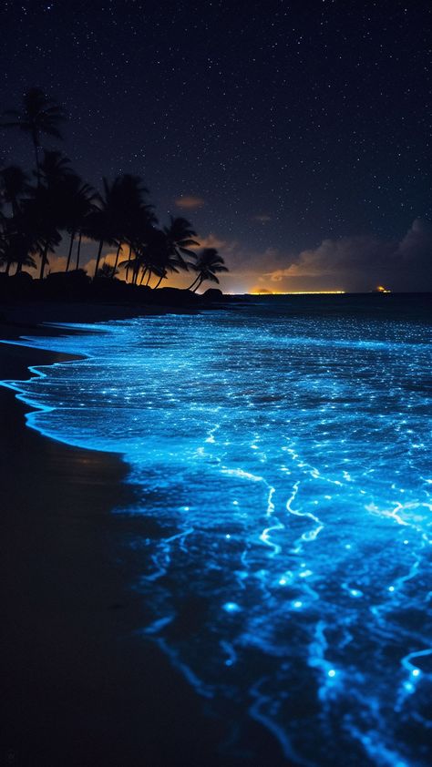 Free background 4k, hd wallpaper sea, glow, shore, palm trees, night, starry sky, tropics, background hd for pc & mobile Light Blue Ocean Aesthetic, Iphone Wallpaper 4k, Ocean At Night, Sea Of Stars, Mermaid Core, Beautiful Ocean Pictures, Pretty Landscapes, Ocean Wallpaper, Beach Wallpaper