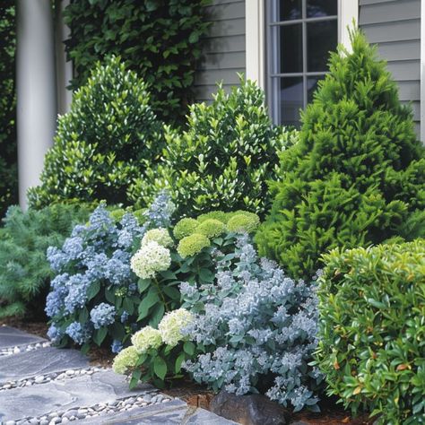 9 super low maintenance but beautiful landscaping ideas for the front of your house Front Yard Hydrangea, Low Maintenance Front Yard, Installing Artificial Turf, Hydrangea Landscaping, Low Maintenance Shrubs, Beautiful Landscaping, Small Front Yard Landscaping, Small Front Yard, Easy Landscaping