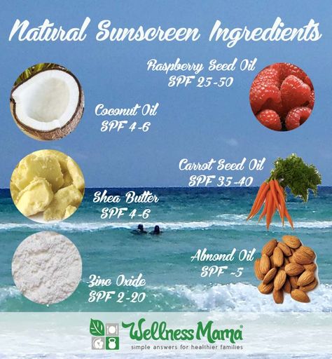 How to Make Natural Homemade Sunscreen Sunscreen Recipe, Wellness Mama, Mama Natural, Diy Kosmetik, Homemade Lotion, Carrot Seed Oil, Raspberry Seeds, Home Remedies For Hair, Raspberry Seed Oil