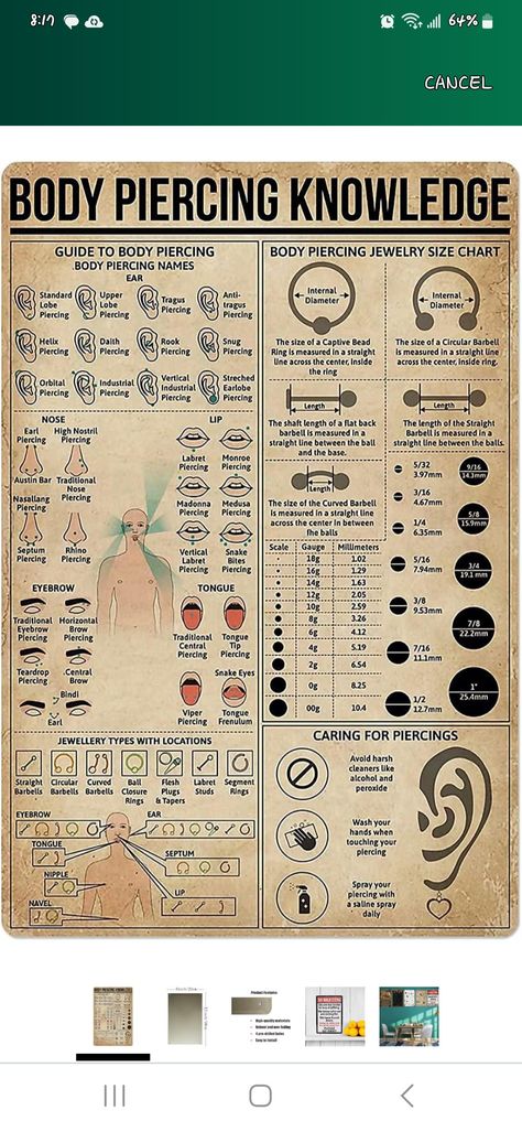 Full Body Piercing Chart, Body Piercing Knowledge, Piercing Apprenticeship, Cute Nose Piercings, Piercing Chart, Cute Nose, Cool Art Stuff, Circular Barbell, Barbell Piercing