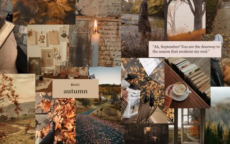 Autumn Ipad Wallpaper Aesthetic, Autumn Cozy Aesthetic Wallpaper, November Aesthetic Laptop Wallpaper, Aesthetic Chromebook Wallpapers Collage, Aesthetic Ipad Air Wallpaper, Mac Fall Wallpaper Desktop, Aesthetic Autumn Desktop Wallpaper, October Macbook Wallpaper Aesthetic, Aesthetic Fall Ipad Wallpaper