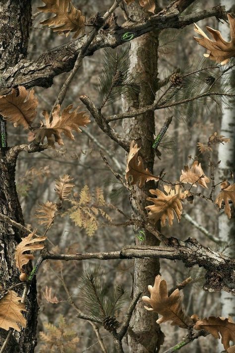 Camo Aesthetic Background, Realtree Camo Wallpaper, Hunting Backgrounds, Camo Aesthetic, Hunting Wallpaper, Camouflage Wallpaper, Plain Wallpaper Iphone, Decent Wallpapers, Country Backgrounds