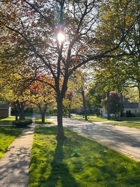 Small Town Neighborhood Aesthetic, Old Neighborhood Aesthetic, Small Neighborhood Aesthetic, Small Town Neighborhood, Cute Small Town Aesthetic, Small Town High School Aesthetic, Summer Neighborhood Aesthetic, Liminal Neighborhood, Neiborhood Aesthetic