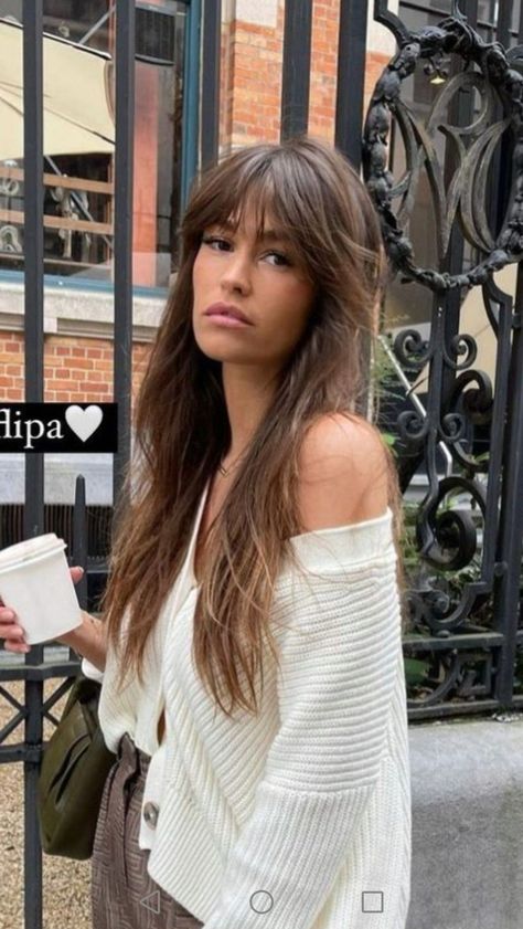 2023 Hair Trends For Women Fringe, Wavy Long Bangs, The French Fringe, Long Hair With Whisky Bangs, Fringe Long Hairstyles, Whispy Front Bangs Long Hair Layers, Long Brown Hair With Fringe, Long Hair And Fringe, Alison Toby Hair