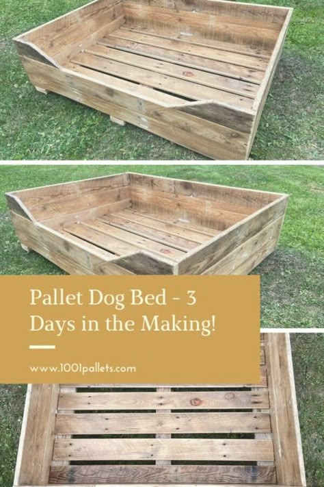 Pallet Dog Bed, Dog Beds Homemade, Dog Bed Frame, Big Dog Beds, Wood Dog Bed, Pallet Dog Beds, Outdoor Dog Bed, 1001 Pallets, Pallet House