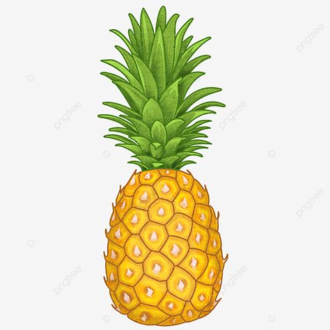 Pineapple Backgrounds, Pineapple Clipart, Pineapple Drawing, Cartoon Pineapple, Fruit Png, Fruit Combinations, Guava Fruit, Pineapple Planting, Fruit Labels