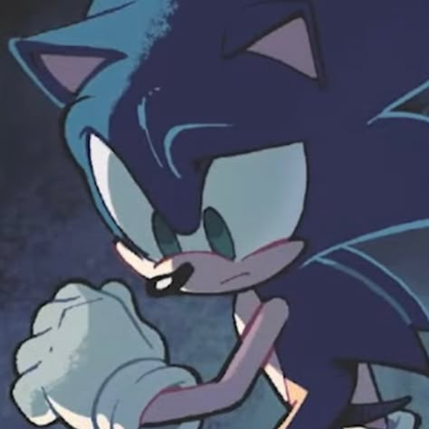 sad little man 😢 (from scrapnik idw comics) Sonic Pfps, Sonic Idw, Sonic Icon, Sonic And His Friends, Sonamy Comic, Idw Comics, Japanese Video Games, Sonic Shadow, Sonic And Amy