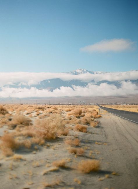 Valhalla Aesthetic, Desert Road Trip, Color Palette Neutral, Beauty Texture, Dubai Desert Safari, Desert Aesthetic, Desert Road, Road Photography, Dubai Desert