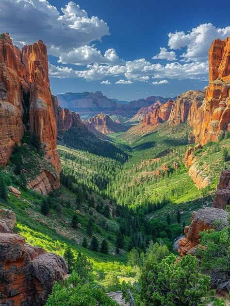 Zion national park Zion National Park Utah, Pretty Landscapes, Zion National Park, Nature Aesthetic, Pretty Places, Nature Travel, Travel Aesthetic, Nature Pictures, Pretty Pictures