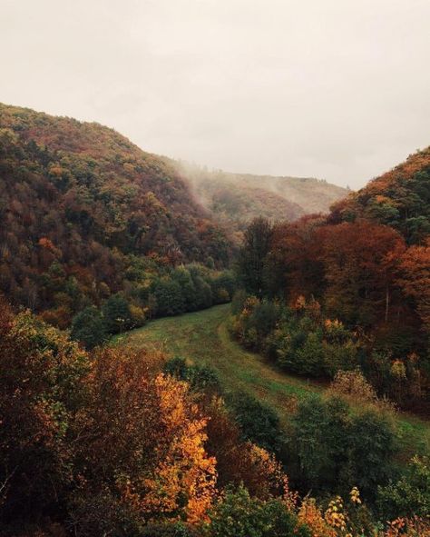 #MountScenery Temperate broadleaf and mixed forest, #Shrubland #Tree #Biome Woodland, Vegetation, Deciduous - Follow #extremegentleman for more pics like this! Deciduous Forest Biome, Temperate Deciduous Forest, Biome Project, Temperate Forest, Biomes Project, Types Of Forests, Deciduous Forest, Best Nature Photos, Reading Journals