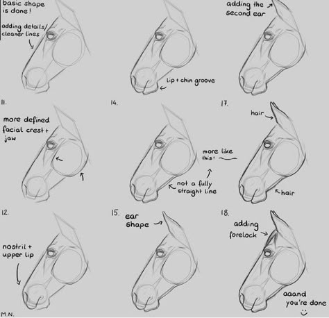 Horse Head Drawing Reference, Horse Tutorial Drawing, Horse Head Anatomy Drawing, Horse Face Anatomy, Horse Eyes Drawing, Horse Art Tutorial, Horse Head Drawing Easy, How To Draw Horses Step By Step, How To Draw A Horse Head