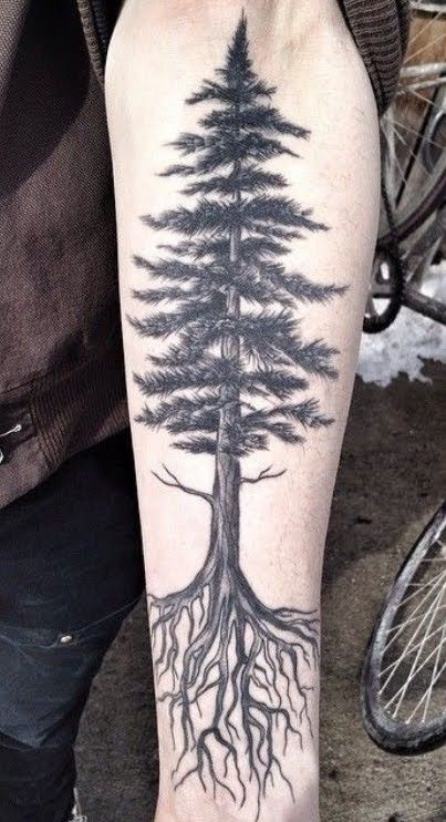 Tree Leg Tattoo, Redwood Tattoo, Tree Tattoo Art, Tattoos Arm Mann, Tree Roots Tattoo, Tree Sleeve Tattoo, Pine Tattoo, Tree Tattoo Forearm, Tree Tattoo Arm