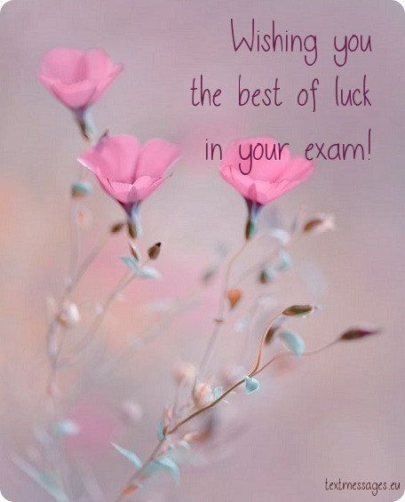 Exam Wishes For Girlfriend, Exam Wishes Quotes, Best Of Luck For Exams, All The Best Messages, Prayer Before Exam, Wishes For Exam, Exam Messages, Exam Good Luck Quotes, Wishing Good Luck Quotes